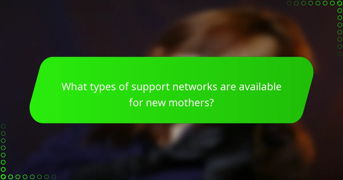 What types of support networks are available for new mothers?